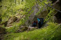 Rozbehy — Bojková