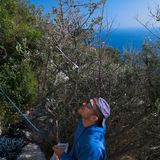 Gorbio, Peillon a La Turbie