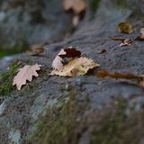 Pukanec (bouldering)