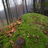 Chřiby bouldering Seník