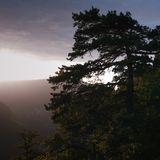 Gorges du Tarn