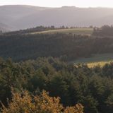 Gorges du Tarn