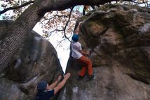 Fontainebleau