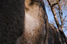Fontainebleau