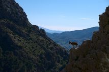 El Chorro