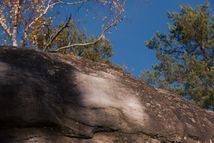 Fontainebleau