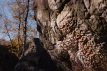 Fontainebleau