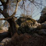 Fontainebleau