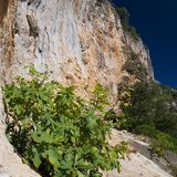 Châteauvert (Vallon Sourn)