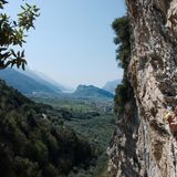 Arco