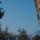 Arco