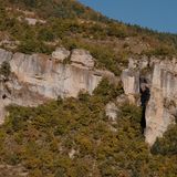 Gorges du Tarn