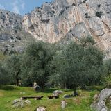 Arco