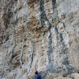 Arco
