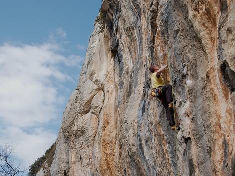 Kompanj 3/2016