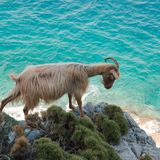 Kalymnos