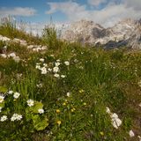 Dolomity