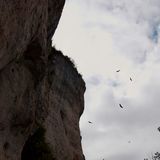 Les Gorges du Tarn