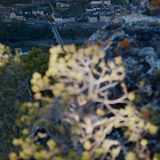 Les Gorges du Tarn