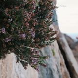 Kalymnos