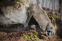 Rozbehy — Bojková