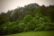 Prečín