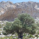 Kalymnos