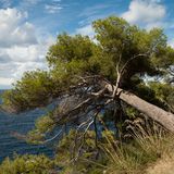 Mallorca