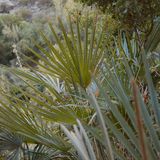 Chulilla