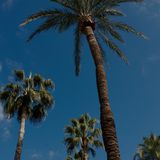 Chulilla