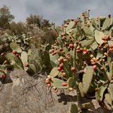 Chulilla