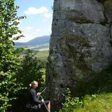 Dreveník